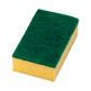 Combination sponge green, 15x9x5, 10pc